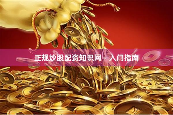 正规炒股配资知识网 - 入门指南